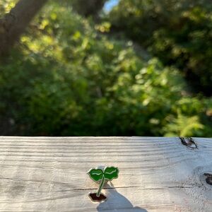 Starbucks 2022 Limited Edition Barista Basics Coffee Plant Sapling Sprout Pin
